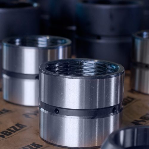 bizainterna1 bizainterna1